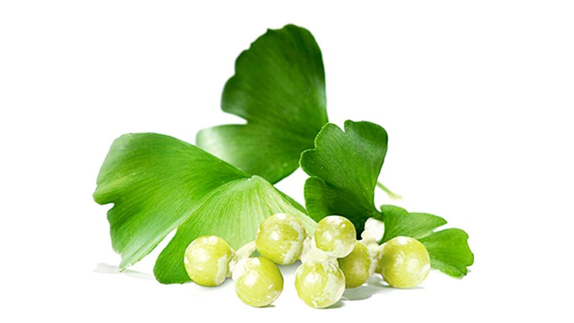 Ginkgo biloba në Osteflex